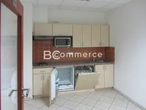 Pronájem skladu, Brno, Vídeňská, 1400 m2