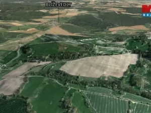 Prodej lesa, Kravaře, 4458 m2