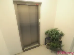 Pronájem bytu 2+kk, Brno, Svážná, 47 m2