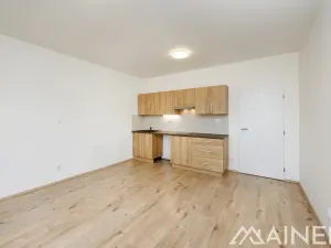 Prodej bytu 1+kk, Plzeň, Magisterská, 30 m2