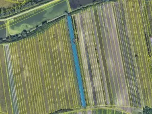 Prodej podílu pole, Hlohovec, 1567 m2