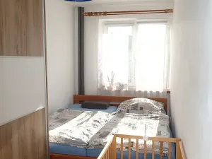 Prodej bytu 3+1, Hlinsko, Budovatelů, 62 m2