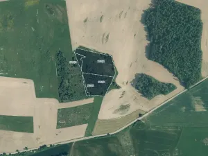 Prodej pole, Velký Bor, 34439 m2