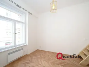 Pronájem bytu 1+kk, Praha - Nusle, Oldřichova, 19 m2