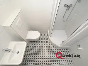 Pronájem bytu 1+kk, Praha - Nusle, Oldřichova, 19 m2