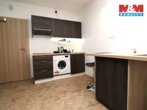 Pronájem bytu 1+kk, Ostrov - Horní Žďár, 28 m2