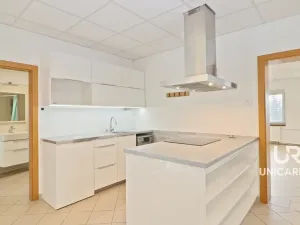 Pronájem obchodního prostoru, Moravany, Modřická, 167 m2