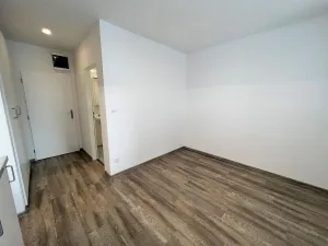 Pronájem bytu 1+kk, Brno - Maloměřice, Hády, 18 m2