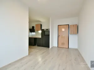 Pronájem bytu 1+kk, Ústí nad Labem, Obvodová, 31 m2