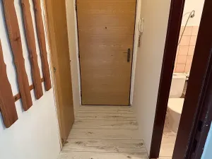 Pronájem bytu 1+kk, Frýdek-Místek, Bruzovská, 25 m2