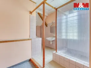 Prodej rodinného domu, Oloví - Hory, 800 m2