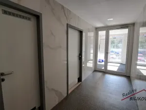 Prodej bytu 2+kk, Praha - Bohnice, Dolákova, 44 m2