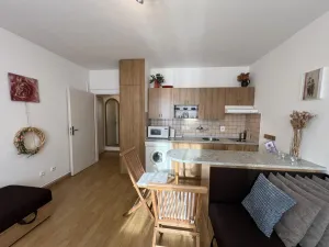 Pronájem bytu 1+kk, Třeboň - Třeboň II, U Francouzů, 28 m2