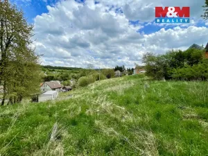Prodej pozemku pro bydlení, Tatenice, 3880 m2