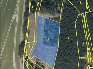 Prodej lesa, Veliny, 5028 m2