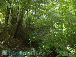 Prodej pozemku, Kaplice - Blansko, 19480 m2