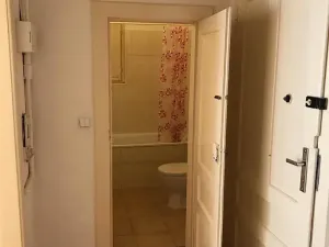 Pronájem bytu 3+kk, Praha - Žižkov, Hájkova, 76 m2