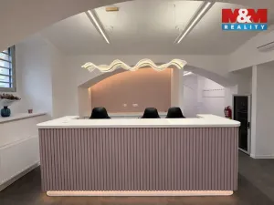 Pronájem komerční nemovitosti, Praha - Nové Město, Opletalova, 16 m2