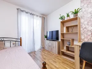 Prodej bytu 1+kk, Olomouc, Edvarda Beneše, 23 m2