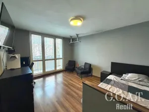 Prodej bytu 1+1, Plzeň, Na Dlouhých, 36 m2