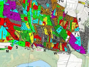 Dražba lesa, Hosty, 1258 m2