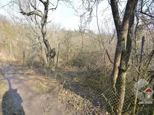 Prodej zahrady, Brno, Turistická, 207 m2