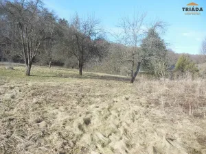 Prodej pozemku pro bydlení, Hrubá Skála, 3738 m2