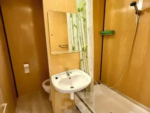 Pronájem bytu 1+kk, Plzeň, Toužimská, 32 m2