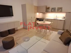 Pronájem bytu 2+kk, Praha - Žižkov, Buchovcova, 54 m2