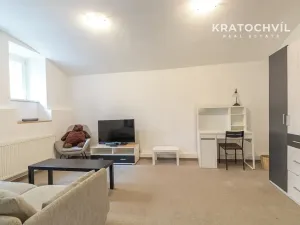 Prodej bytu 1+kk, Praha - Karlín, Březinova, 50 m2