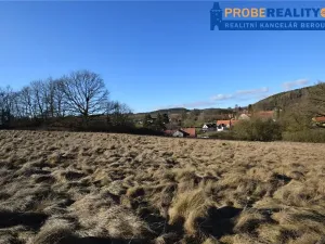 Prodej pozemku pro bydlení, Mirotice, 9991 m2