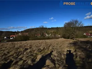 Prodej pozemku pro bydlení, Mirotice, 9991 m2