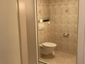 Prodej rodinného domu, Mariánské Lázně, Školní, 675 m2