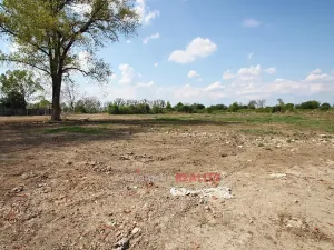 Pronájem komerčního pozemku, Hevlín, 16559 m2