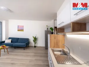 Prodej bytu 1+kk, České Budějovice - České Budějovice 6, Chelčického, 32 m2