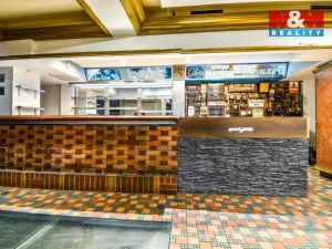 Pronájem obchodního prostoru, Ostrava - Hrabůvka, Horní, 250 m2