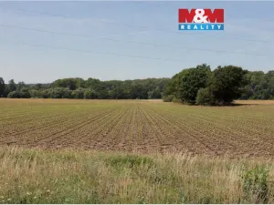 Prodej pole, Všestudy, 1355 m2