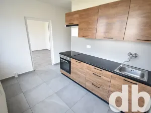 Prodej bytu 3+1, Chodov, U Porcelánky, 68 m2