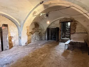 Prodej vinného sklepa, Pasohlávky, 54 m2