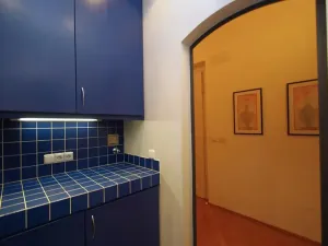 Pronájem bytu 2+1, Praha - Vinohrady, Anny Letenské, 54 m2