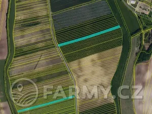 Prodej pole, Čejkovice, 194311 m2