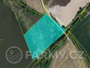 Prodej pole, Čejkovice, 194311 m2