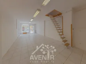 Prodej obchodního prostoru, Hodonín, Dolní Valy, 69 m2