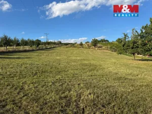 Prodej pozemku pro bydlení, Borkovany, 7835 m2