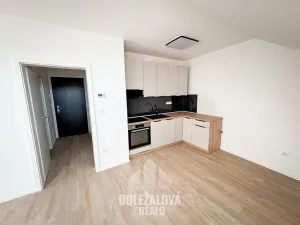 Pronájem bytu 1+kk, Třešť, Wolkerova, 38 m2