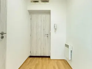 Prodej bytu 1+kk, Mšené-lázně, Mládežnická, 31 m2