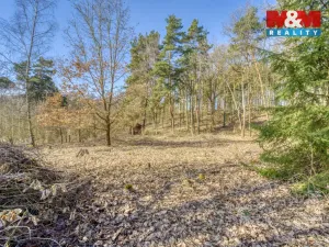 Prodej zahrady, Kunějovice, 1697 m2