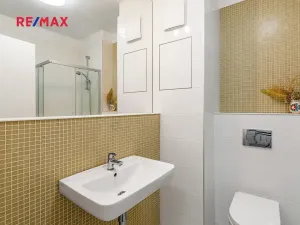 Prodej bytu 1+kk, Praha - Libeň, Novovysočanská, 24 m2