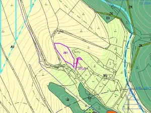 Dražba louky, Zábřeh, 2481 m2