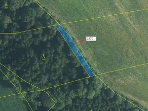 Dražba lesa, Písečná, 447 m2